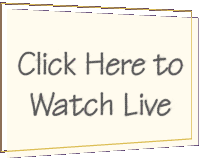 View Live Feed